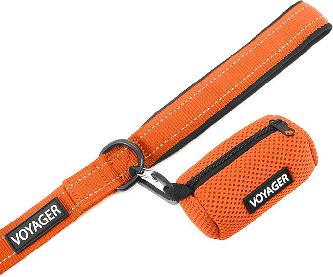 Best Pet Supplies Voyager Reflective Dog Leash or Collar with Neoprene Handle, for Small, Medium, and Large Breed Puppies, Cute and Heavy Duty for Walking, Running and Training - Orange (Leash), S