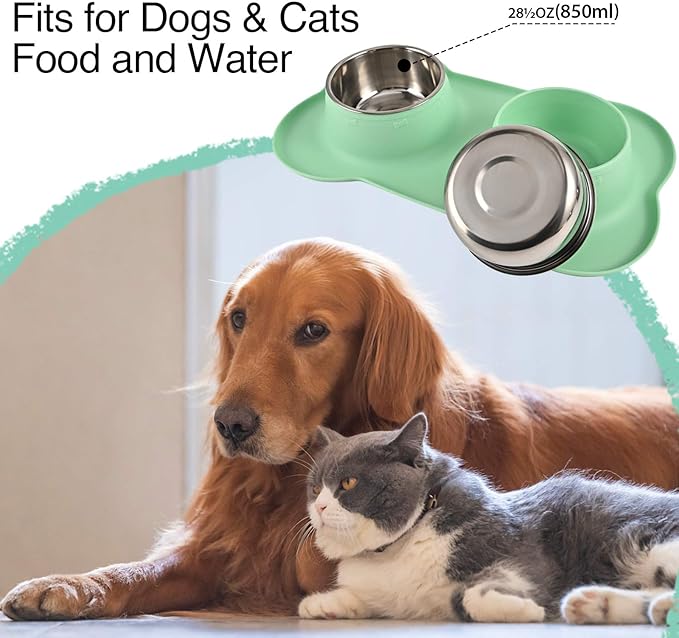 Dog Bowls 2 Stainless Steel Bowl for Pet Water and Food Feeder with Non Spill Skid Resistant Silicone Mat for Pets Puppy Small Medium Cats Dogs
