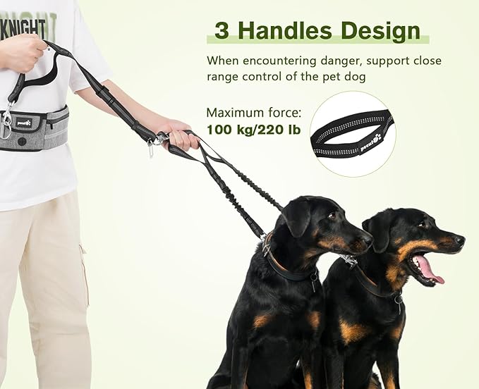 Pecute Dog Leash Hands Free 2 Dogs, Waist Belt Fanny Pack with Soft Padded, Dual Leash with Pouch, Two Handles, Durable Bungee, Dog Seat Belt, Running Walking Hiking Biking