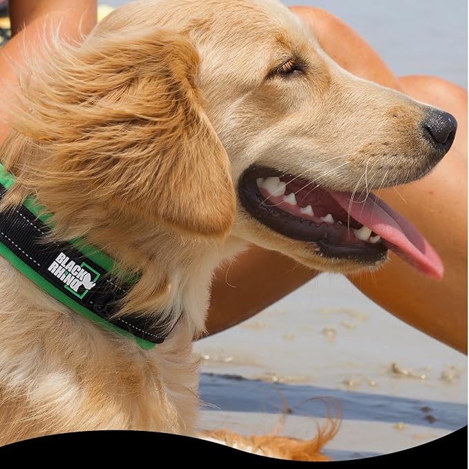 Black Rhino Dog Collar for Medium Dogs - Adjustable Reflective Heavy Duty Dog Collar with Ultra-Soft Neoprene Padding - Weatherproof, Durable, and Comfortable - Ideal for Active Dogs - Green and Black