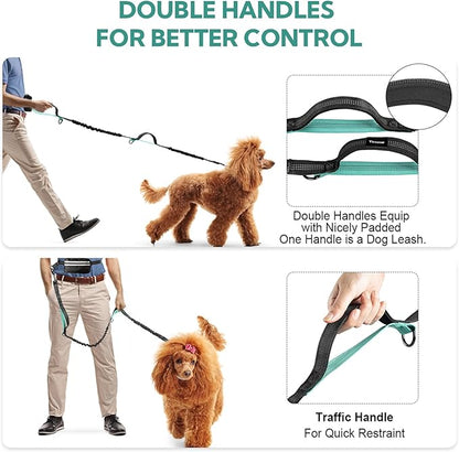Hands Free Dog Leash, Retractable Bungee with Double Padded Handles, Waist Leash for Dog Walking for Medium & Large Dog Walking Accessories Mint-Green