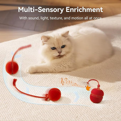 Cheerble 2 in 1 Interactive Cat Toys for Indoor Cats - Wicked Ball Duo2 Automatic Cat Toy, Dual Interchangeable Shells, Electric Moving Cat Ball with Tail & Chirping Sounds, Red