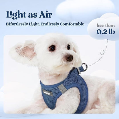 rabbitgoo Dog Harness Small Sized and Leash Set, Step in Soft Light Puppy Vest, Breathable Mesh Pet Harness, Reflective for Outdoor Safe Walking, Navy Blue XL