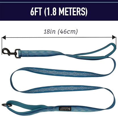 Reflective 6 Foot Leash with Padded Handles - Double Handle Pattern Collection by Leash Boss