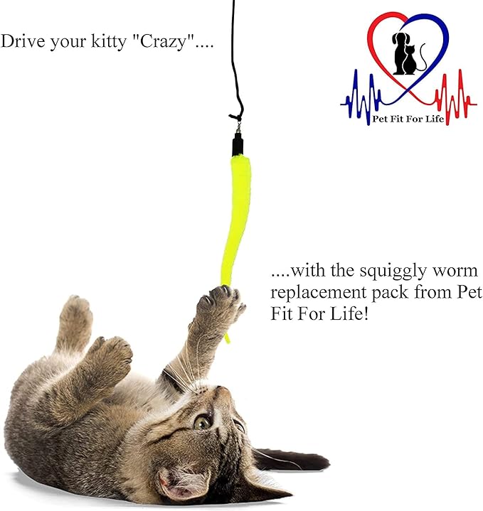 Pet Fit For Life - 5 Piece Kitten Toy Refill Pack - Replacement for Indoor Cat's Interactive Wand and Catch Wand - Features 5 Assorted Soft Squiggly Worm Attachments