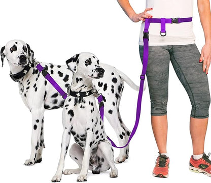 The Buddy System Accessories for Our Dog Leashes Made in USA (Double Buddy, Regular Dog Purple)