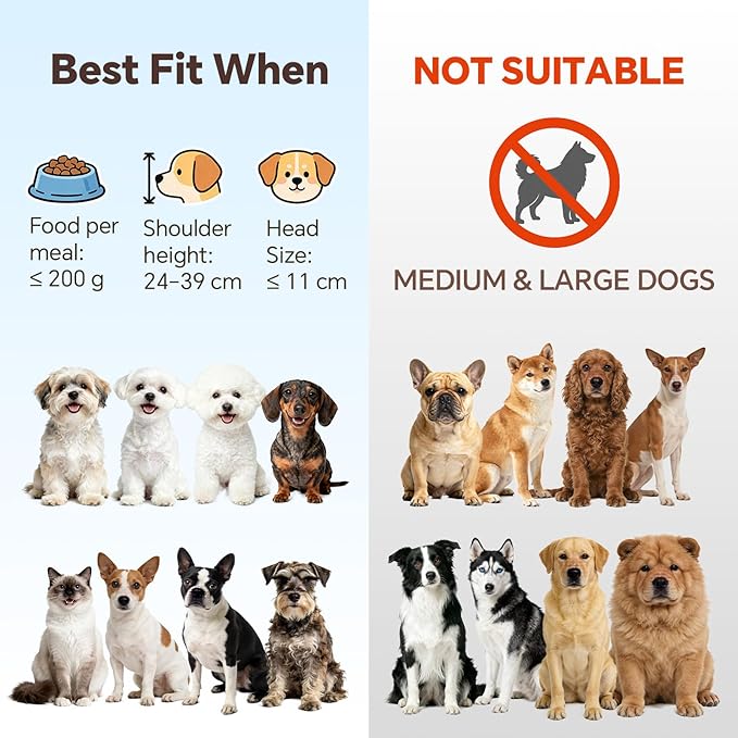 Elevated Ceramic Dog Bowl with Metal Stand - Raised Feeding Dish for Small Dogs and Cats - Ideal for Food or Water - Each Holds 400ml / 2 Cups (Approx. 200g) - White