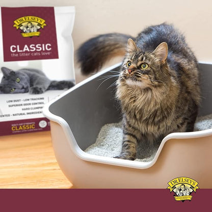 Dr. Elsey's Premium Clumping Cat Litter, Unscented | 99.9% Dust-Free | Low Tracking | Hard Clumping | Superior Odor Control