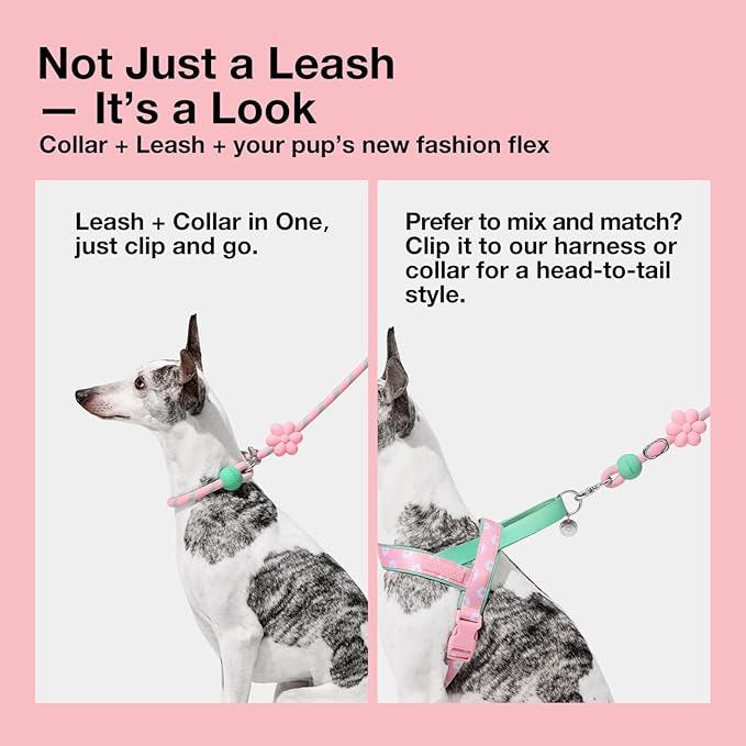 VETRESKA Hands-Free Dog Leash, 8FT Adjustable Rope Leash for Medium Large Dogs, Waist/Crossbody Slip Lead Leashes for Walking, No Pull Dog Leashes with Bag Dispenser, Clip, 3 in 1 Walk Kit (Flora)
