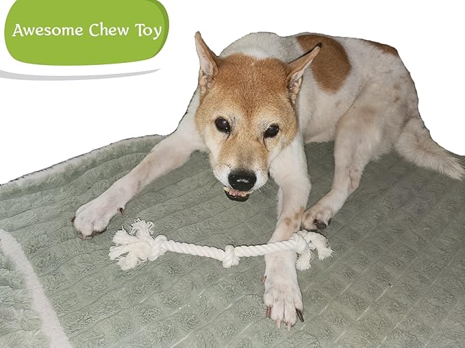 2-Pack Dog Rope Toys – 13" Cotton Teething & Tug Toys for Small Dogs, Medium-Small Breeds & Senior Medium Dogs – Dental Cleaning & Interactive Play