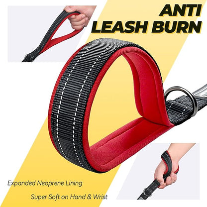 VIVAGLORY Dog Leash Twingrip Double Handle Dog Leash with Traffic Handle Control & 2 Loop for Walking & Training, Reflective Heavy Duty for Puppy Pet Collar, 6ft x 1in, Black