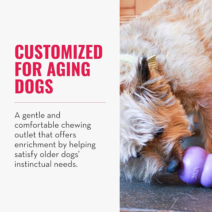 KONG Senior - Dog Toy with Gentle, Natural Rubber - Durable Dog Toy for Older Dogs - Use Treats with Stuffable Chew Toy - Treat Toy for Chewing & Fetching - for Medium Dogs
