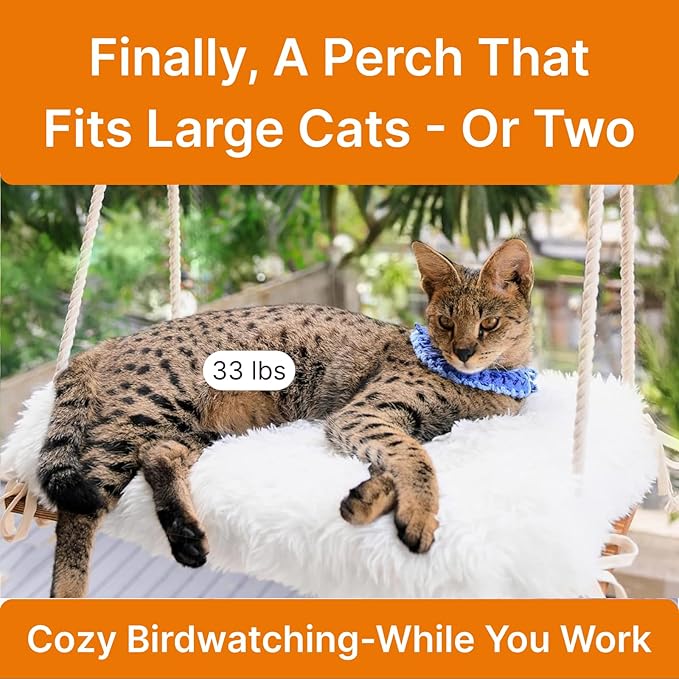 Large Cat Window Perch with Industrial-Grade Suction Cups - Solid Pine Wood Hammock Bed, Soft Cushion - 42 lb Capacity for Heavy Cats Inside