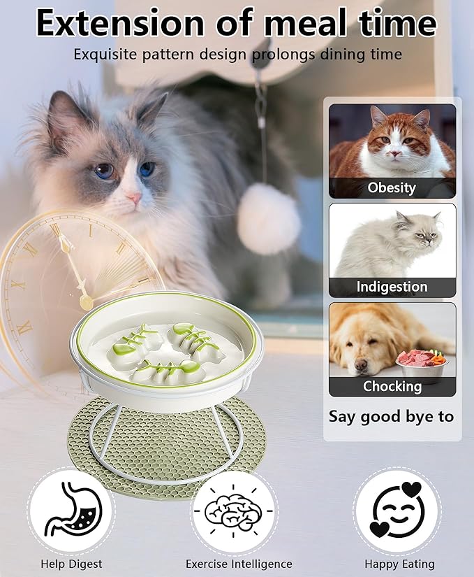 Raised Cat Dog Slow Feeder Bowl with Stand,Elevated Cat Food Bowl Shallow Design,Slow Down Eating Speed of Pets,No Whisker Fatigue Ceramic Puzzy Feeder, Against Bloat,Indigestion, Easy to Clean