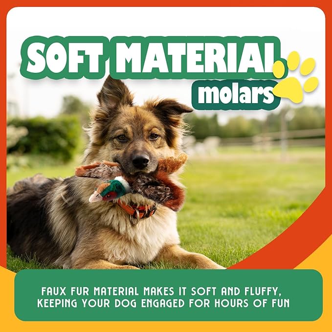 ALL FOR PAWS Squeaky Doy Toy, Pheasant Dog Toy for Small Medium Breed, Puppy Fetch Toy with Squeaker, Plush Chew Dog Toy, 9.8 x 9.8 x 2 inches, Classic-Pheasant S