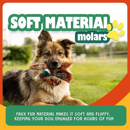 ALL FOR PAWS Squeaky Doy Toy, Pheasant Dog Toy for Small Medium Breed, Puppy Fetch Toy with Squeaker, Plush Chew Dog Toy, 9.8 x 9.8 x 2 inches, Classic-Pheasant S