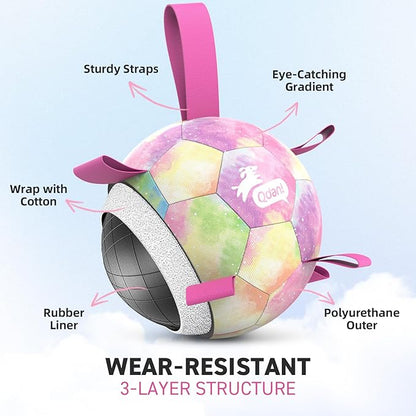 QDAN Dog Balls, Dog Soccer Ball with Straps, Pink Girl Puppy Toy Balls for Small Medium Dogs, Outdoor Water Pool Toys, Puppy Pet Birthday Gifts, Rainbow（6 Inch）