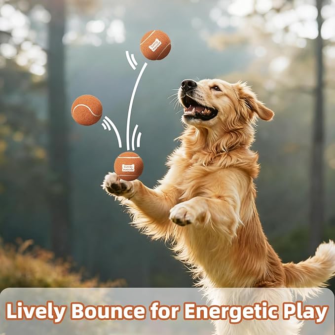 2.5" Dog Tennis Balls 6-Pack – Silent Bounce, Tough Rubber Core, Durable Fetch & Training Toys for Indoor/Outdoor Play, for Small Medium Large Dogs (Classic Mixed Color,6-Pack)