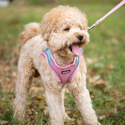 AIITLE Easy Walk Dog Harness and Leash Set - Pet Supply No Pull, Step in Adjustable Dog Harness with Padded Vest, Dog Harness No Choke Over, Easy to Put on Medium Dogs Pink L
