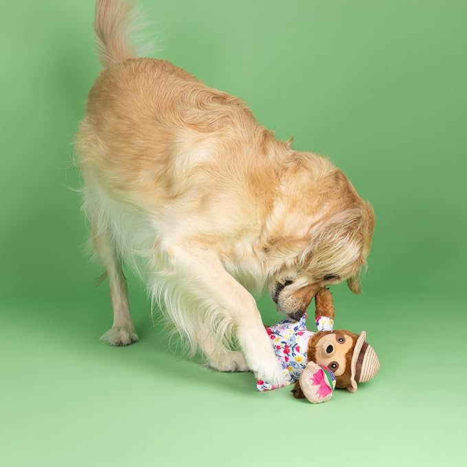 Fringe Studio Plush Dog Toy, Sunday’S Best, Petshop Collection (314317)