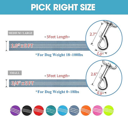 BAAPET Two Handle Dog Leash, Dual Soft Padded Handles with Traffic Control Handle Leash for Small Medium or Large Dogs (3/4'' x 5 FT, Grey)