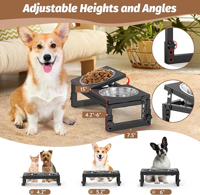 Dog Bowls Elevated Small, 3 Height(4.2" to 6") & Angle (0-20°) Adjustable Raised Dog Bowl Stand, Elevated Dogs Bowl Stand Pet, Sturdy Metal Dogs Feeding Station with 2X 20oz (2.5cup) Dishes