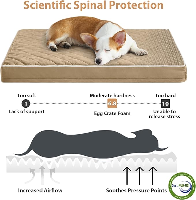 WNPETHOME Orthopedic XXL Dog Beds Large Sized Dog, Waterproof Extra Large Dogs Bed with Removable Washable Cover, Multi-Needle Quilting Dogs Crate Bed