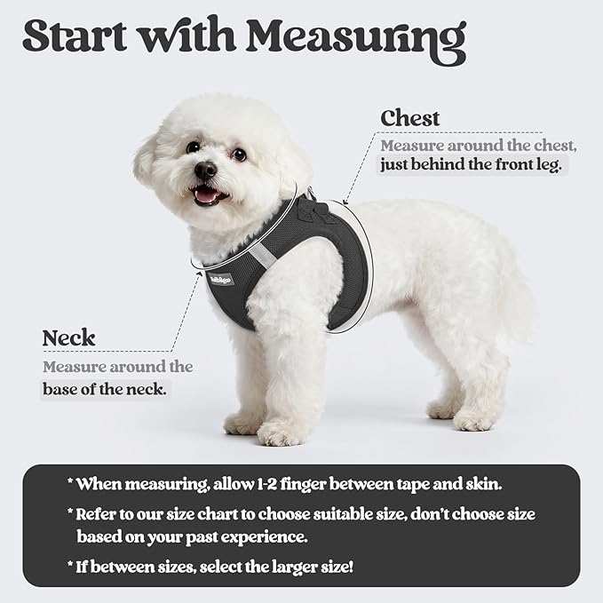 rabbitgoo Dog Harness Small Sized and Leash Set, Step in Soft Light Puppy Vest, Breathable Mesh Pet Harness, Reflective for Safe Easy Walking, Black S