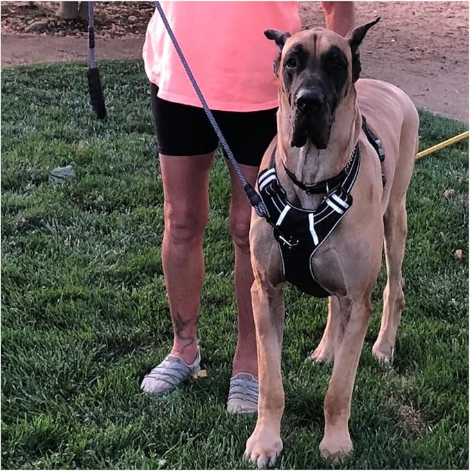 MayPaw Heavy Duty Rope Dog Leash, 3/4/5/6/7/8/10/12/15 FT Nylon Pet Leash, Soft Padded Handle Thick Lead Leashes for Large Medium Dogs (Purple Black, 1/2" * 8')