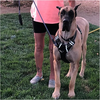 MayPaw Heavy Duty Rope Dog Leash, 3/4/5/6/7/8/10/12/15 FT Nylon Pet Leash, Soft Padded Handle Thick Lead Leashes for Large Medium Dogs (Purple Black, 1/2" * 8')