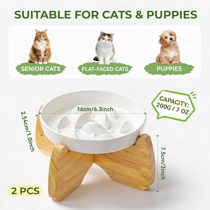 Raised Cat Bowls, 6.3'' Flat & Slow Feeder Bowl, Wide Ceramic Elevated Shallow Slow Eating Cat Bowl for Dry/Wet Food, Anti-Vomiting Pet Puzzle Feeder, Whisker Friendly, Dishwasher Safe (2 Pack)
