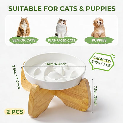 Raised Cat Bowls, 6.3'' Flat & Slow Feeder Bowl, Wide Ceramic Elevated Shallow Slow Eating Cat Bowl for Dry/Wet Food, Anti-Vomiting Pet Puzzle Feeder, Whisker Friendly, Dishwasher Safe (2 Pack)