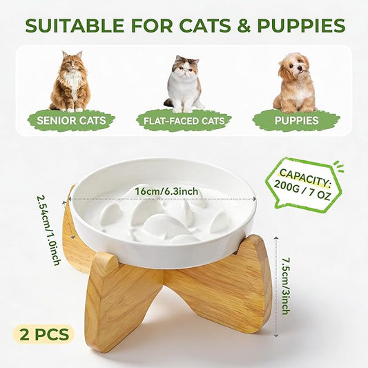 Raised Cat Bowls, 6.3'' Flat & Slow Feeder Bowl, Wide Ceramic Elevated Shallow Slow Eating Cat Bowl for Dry/Wet Food, Anti-Vomiting Pet Puzzle Feeder, Whisker Friendly, Dishwasher Safe (2 Pack)
