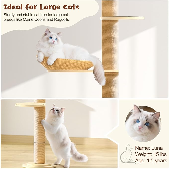 Tinnmao Solid Real Wood Floor to Ceiling Cat Tree, 6 Level Adjustable Height (89"-105"), Modern Climbing Tower with Thickened Wooden Sisal Scratching Posts & Cozy Bed for Indoor Cats Large Adult