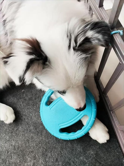 Dog Water Pool Toys, Floating Dog Beach Pull Flying Disc Fun Interactive Small Dog Toy for Small Dog, Water Toys for Dogs that Float Animal Birthday Gift