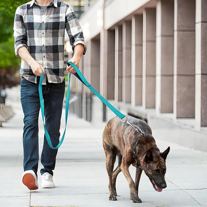 6 FT Dog Leash with 2 Padded Handle Nylon Reflective Dogs Leashes for Small Medium Large Dogs Sky Blue