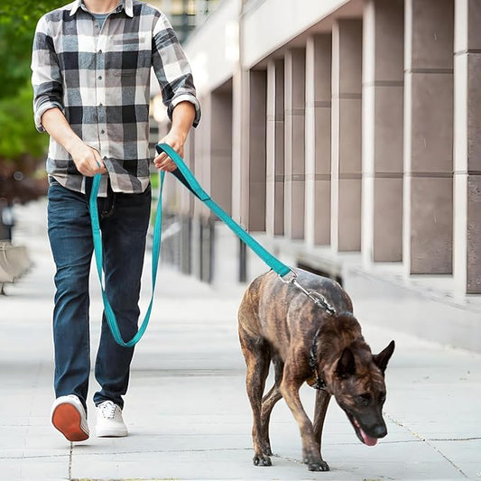 6 FT Dog Leash with 2 Padded Handle Nylon Reflective Dogs Leashes for Small Medium Large Dogs Sky Blue