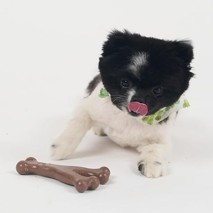 SPOT Bam-Bones Wishbone - Made with Strong Bamboo Fiber, Durable Long Lasting Dog Chew for Light to Moderate Chewers, Great Toy for Adult Dogs & Teething Puppies Under 30lbs, 5.25in, Bacon Flavor