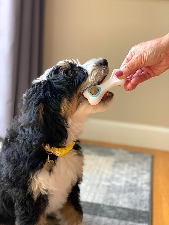 Nylabone Knuckle Bone Pop-In Treat Toy Puppy Chew Toy for Puppies, Interactive Treat Dispensing Enrichment Toys for Puppies, Long Lasting Chicken Flavor, Medium Dogs - Up to 35 lbs