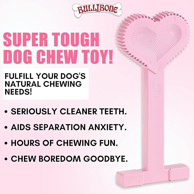 Bullibone Nylon Dog Chew Toy for Aggressive Chewers - Dental Hygiene Bone with Peppermint Flavor, Durable Tough Chew Toys for Large Dogs, Indestructible Dog Bone - 2 Pack