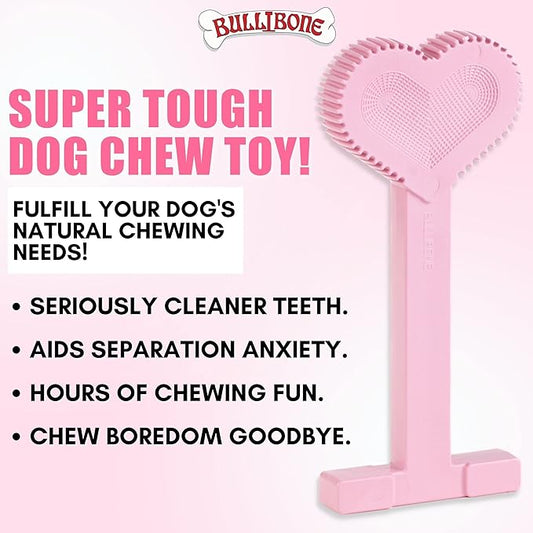 Bullibone Nylon Dog Chew Toy for Aggressive Chewers - Dental Hygiene Bone with Peppermint Flavor, Durable Tough Chew Toys for Large Dogs, Indestructible Dog Bone - Single