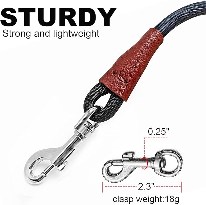 Small Dog Leash, 1/4" by 6/8/10 FT Lightweight Strong Nylon Rope Leash, Bright Classic Lead for Small Pets/Puppy/Cat (10ft, Black)