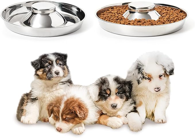 Stainless Steel Puppy Bowls, Set of 2 Puppy Feeder, Dog Food and Water Bowl, Food Feeding Weaning for Small Medium Large Dogs, Pets, S