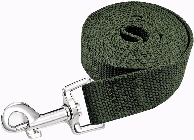Strong Nylon Dog Leash, 4FT/ 5 FT/ 6FT Dog Leashes for Medium Large Dogs(4 FT, Green)