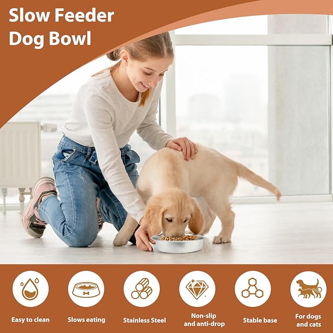 Metal Puppy Slow Feeder Bowl Stainless Steel Non-Slip Dog Food Bowls, Fun Bloat Stop Pet Bowls Dogs Water Bowl for Small & Medium Sized Dogs to Slow Down Eating (C)