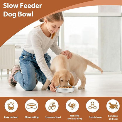 Metal Puppy Slow Feeder Bowl Stainless Steel Non-Slip Dog Food Bowls, Fun Bloat Stop Pet Bowls Dogs Water Bowl for Small & Medium Sized Dogs to Slow Down Eating (C)