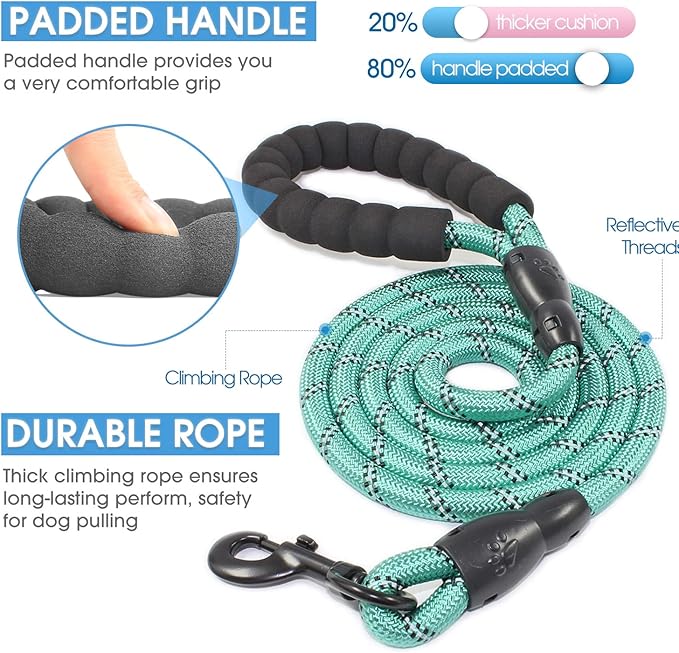 BAAPET 2/4/5/6 FT Dog Leash with Comfortable Padded Handle and Highly Reflective Threads for Small Medium and Large Dogs (5FT-1/2'', Turquoise)