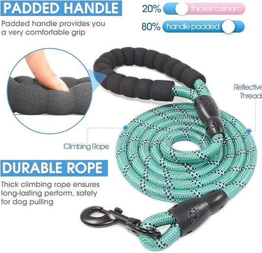 BAAPET 2/4/5/6 FT Dog Leash with Comfortable Padded Handle and Highly Reflective Threads for Small Medium and Large Dogs (5FT-1/2'', Turquoise)