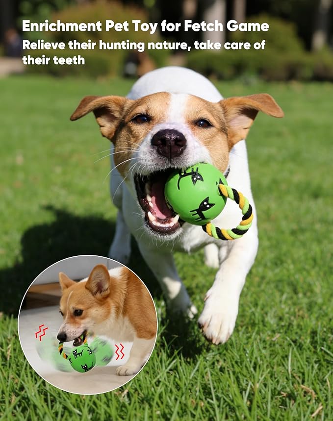 Deeow Alieen Dog Frisbee for Fetch and Green Jack-o-Lantern Pet Toys, Teething Clean Outdoor Flying Disc and Halloween Pumpkin Pet Toy, Interactive Squeaky Dogs Toy for Water, Park, Beach Fun
