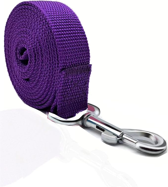 TAIAN 4FT/5FT/6FT Strong Dog Leash, Nylon Dog Leashes for Small Medium Large Dogs (5/8 in x 5 ft, Purple)